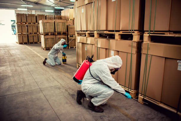 Reliable Greenville, FL Pest Control Solutions