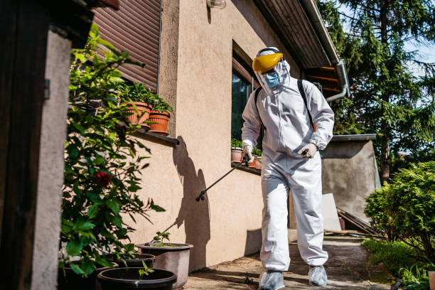Best Wasp Removal Services  in Greenville, FL