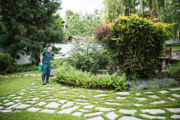 Wasp Removal Services in Greenville, FL