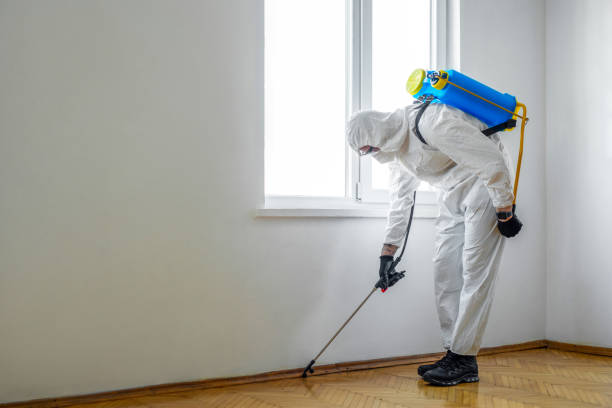 Best Affordable Pest Control Services  in Greenville, FL