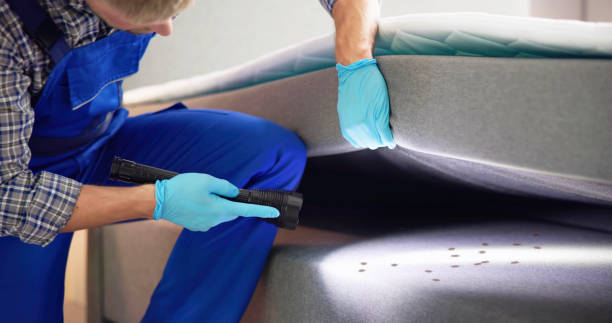 Best Mosquito Control Services  in Greenville, FL