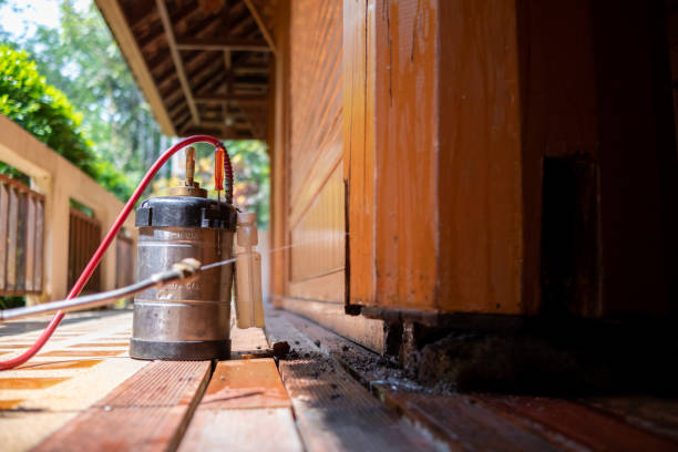 Best Mosquito Control Services  in Greenville, FL