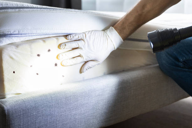 Best Bed Bug Extermination  in Greenville, FL