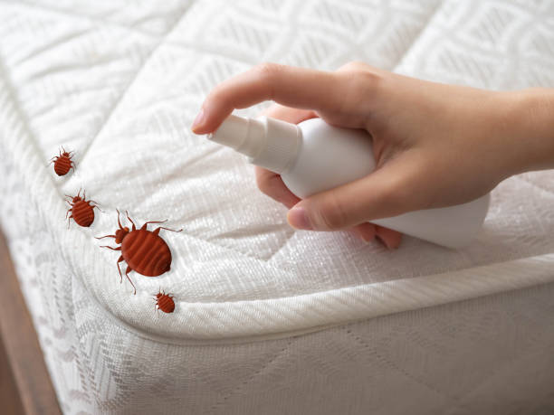 Best Ant Control Services  in Greenville, FL