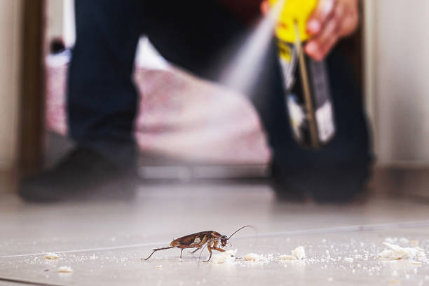 Best Affordable Pest Control Services  in Greenville, FL