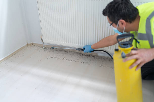 Best Insect Control  in Greenville, FL