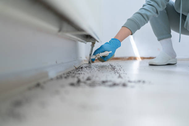 Best Affordable Pest Control Services  in Greenville, FL